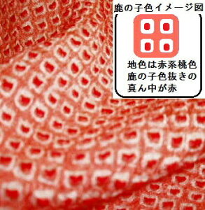 iVNj{FnɐԎi莭̎q䔽͂(i)[1TCYz34cm×10cm][̒͂][ǂ5ȏwŒǐՉ\[֑]