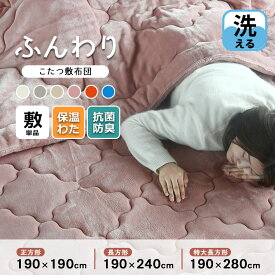 【買えば買うほど、どんどん割引。店内全品対象】こたつ敷き布団 単品 正方形 長方形 厚手 190×190cm 190×240cm 190×280cm かわいい 洗える おしゃれ モコモコ「プレミアム マイヤー」