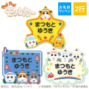 Oby PUI PUI J[ DRIVING SCHOOL LN^[ 2s 3Zbg l[by AC  hJ v[g ORhJby AbvP j  w ct ۈ牀 wZ 