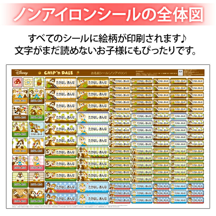 お名前シール タグ用シール Pr入園 レンジ 防水 オーロラ 入学 ディズニー 2点セット 食洗機 耐水 送料無料 ノンアイロン キャラクター