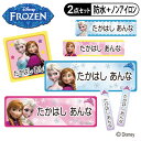お名前シール タグ用シール アナと雪の女王 ディズニー 2点セット 防水 耐水 食洗機 レンジ ノンアイロン 送料無料 PR入園 入学 キャラクター お祝い 名入れ 幼稚園 保育園 楽天 お名前付け 名前しーる ブランド おしゃれな印刷【Disneyzone】