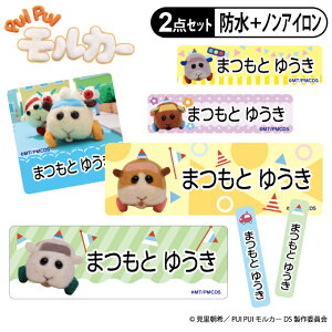 OV[ ^OpV[ PUI PUI J[ DRIVING SCHOOL 킢 2_Zbg h ϐ H@ W mAC  PR w LN^[ j  ct ۈ牀 yV 