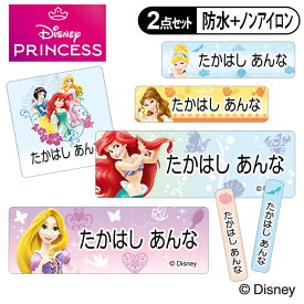 お名前シール タグ用シール プリンセス ディズニー 2点セット 防水 耐水 食洗機 レンジ ノンアイロン 送料無料 PR入園 入学 キャラクター お祝い 名入れ 幼稚園 保育園 楽天 お名前付け 名前しーる ブランド おしゃれな印刷【Disneyzone】