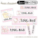 お名前シール タグ用シール サンリオキャラクターズ 2点セット 防水 耐水 食洗機 レンジ ノンアイロン 送料無料 PR入園 入学 キャラクター お祝い 名入れ 幼稚園 保育園 楽天 お名前付け 名前しーる ブランド おしゃれな印刷