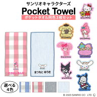 名入れ 刺繍 ポケットタオル サンリオ 3枚 名前 子供 男の子 女の子 ギフト ハンドタオル キャラクター O…