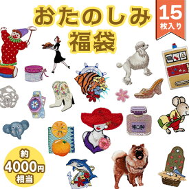 ワッペン 選べる アイロン 刺繍 マーク シンプル プレゼント 服 ワンポイント ハンドメイド 目印 福袋 セール刺繍ワッペン かわいい 入園 入学 キャラクター 幼稚園 保育園 小学校 楽天 アップリケ お祝い ポイント消化 消費【SALE】