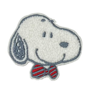 PEANUTS Xk[s[ TKby  tFCX AC V[ 킢 hJ ObY v[g LN^[by hJby j̎q ̎q  w ct ۈ牀 wZ yV 