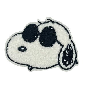 PEANUTS Xk[s[ TKby  tFCX AC V[ 킢 hJ ObY v[g LN^[by hJby j̎q ̎q  w ct ۈ牀 wZ yV 