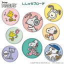 ししゅう ブローチ SNOOPY スヌーピー PEANUTS パステル プレゼント アクセサリー キャラクター キャラバッジ 刺繍 刺…