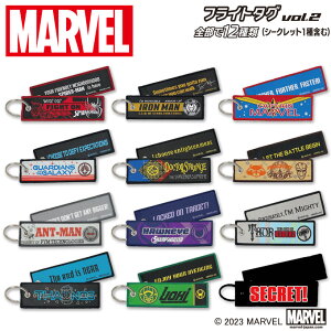 �}�[�x�� �t���C�g�^�Ovol.2 MARVEL �f�B�Y�j�[ �L�����N�^�[ �O�b�Y �v���[���g �j�̎q ���̎q �^�O ��l���� ���� ���w �c�t�� �ۈ牀 ���w�Z �y�V ���j�� �M�t�g�yDisneyzone�z