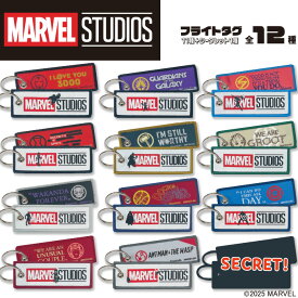 マーベルスタジオ フライトタグ MARVEL マーベル ディズニー キャラクター グッズ プレゼント 男の子 女の子 タグ 大人向け 推し 小学校 楽天 お祝い ギフト【Disneyzone】