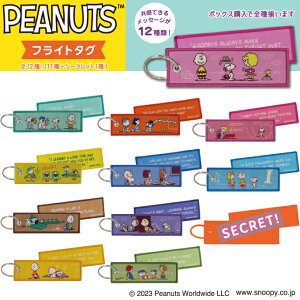 Jt tCg^O `[ Xk[s[ PEANUTS 킢 hJ LN^[ ObY v[g  j̎q ̎q  w ct ۈ牀 wZ yV j Mtg