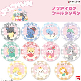 JOCHUM ジェオチャム JO1 サンリオ シール ワッペン キャラクター ノンアイロン グッズ プレゼント 推し活 推し 楽天 お祝い ギフト