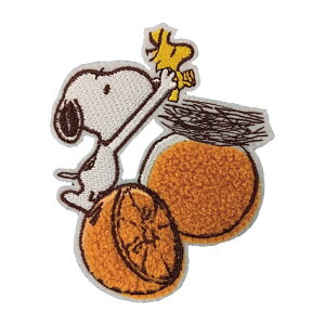 PEANUTS PN Xk[s[ t[cby TK AC V[ 킢 hJ ObY v[g LN^[by hJby j̎q ̎q  w ct ۈ牀 wZ yV 