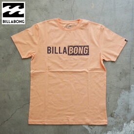 ビラボン Tシャツ BILLABONG ADVISORY 半袖Tシャツ BD011-274 メンズ レディース 半袖 ロゴ プリント サーフ USAコットン レギュラーフィット クルーネック プリント アメカジ サーフ ストリート