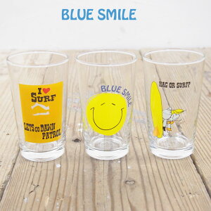 BLUE SMILE u[X}C OX BS16-LG ^u[  Rbv yA H JtF T[t surf } X}C vg JWA NA {  v[g Mtg