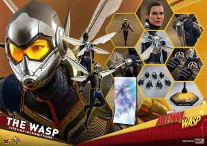 uViE݌Ɂv Hottoys zbggCY@MMS 498wAg}XvxXv@1/6 XP[tBMA@Ant-Man and The Wasp - The Wasp