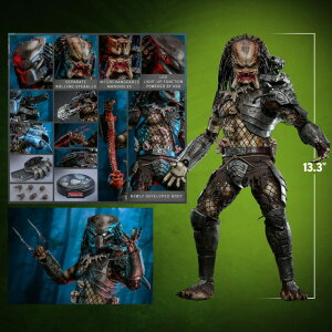 u\vzbggCY MMS816 vf^[x vf^[i2.0Łj Predator (2.0) 1/6 tBMA