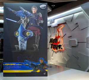 uViE݌ɁvzbggCY TMS020b wX^[EEH[YFN[EEH[Yx 1/6 tBMA AiLEXJCEH[J[ stap Anakin DX