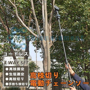 `F[\[ }؂ }؂d`F[\[ R[hX pxߔ\ E|[ 20cmؒf\ p }L^ obe[݊ }؂oT~ }؂΂