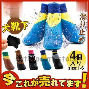 4 C }WbNe[vt \bNX h ^  ~ St pi [\bNX ybgp hbOEFA