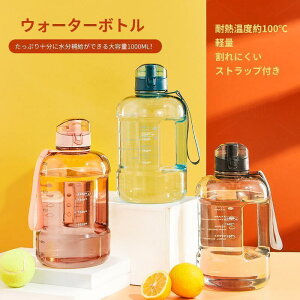  EH[^[{g 2300ML 2L 2bg e Xgbvt vX`bN y WO NA{g  􂢂₷ RȂ