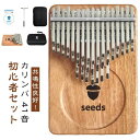 ケース 41音 親指ピアノ 初心者セット 楽器 教本 入門書 チューニング済み 指サック サムピアノ おしゃれ 楽譜 チュー…