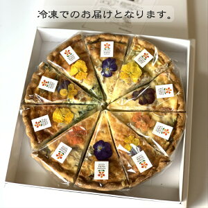 ق񑐂ƃx[R̃LbV(10Jbgj(21cm) LbV@LbV[k@NX}X@@񂹁@O@i@GfBut[@Ɛ@z[LbV@yY