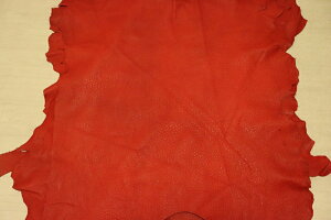 bh 123ds Nv ؊v Y U[ G~[^ ͂ ꖇv U[Ntg v  {v diy n ޗ