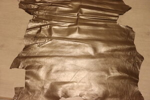 ot 126ds Nv ؊v C^A U[ \H ͂ ꖇv U[Ntg v  {v diy n ޗ