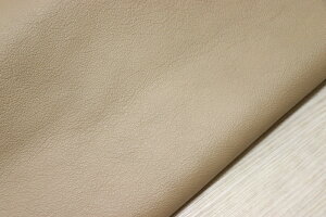 x[W 254ds Nv v C^A U[ VNH ͂ ꖇv U[Ntg v  {v diy n ޗ