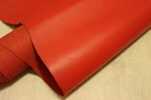 bh 153ds kv obt@[v Ch U[ X[XH ͂ ꖇv U[Ntg v  {v diy n ޗ