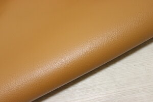 CG[uE 259ds Nv v Y U[ V{^ ͂ ꖇv U[Ntg v  {v diy n ޗ