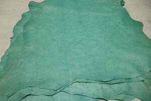 GhO[ 42ds Nv Mv C^A U[ H ͂ ꖇv U[Ntg v  {v diy n ޗ