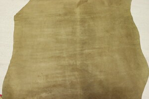 yF 119ds Nv ؊v Y U[ XEF[h ͂ ꖇv U[Ntg v  {v diy n ޗ