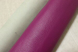 AWXg 257ds Nv v Y U[ obt@[^ ͂ ꖇv U[Ntg v  {v diy n ޗ