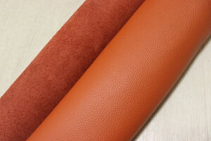 LbgIW 200ds Nv v Y U[ V{^ ͂ ꖇv U[Ntg v  {v diy n ޗ