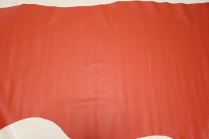 LbgIW 200ds Nv v Y U[ V{^ ͂ ꖇv U[Ntg v  {v diy n ޗ