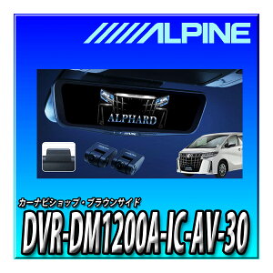 DVR-DM1200A-IC-AV-30 ApC(ALPINE) 30nAt@[h/Ft@CA(2015.1-2023.6)p hCuR[_[ 12C`fW^~[