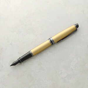 y|Cg10{zEH[^[} WATERMAN EXPERT GLXp[g Y fB[X J[gbW/Ro[^[p Lbv^Cv uh NM