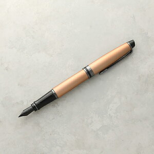 y|Cg10{zEH[^[} WATERMAN EXPERT GLXp[g Y fB[X J[gbW/Ro[^[p Lbv^Cv uh NM