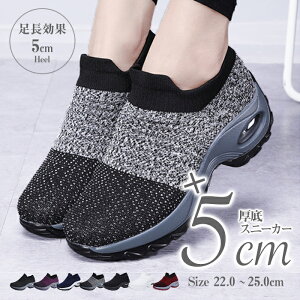  Xj[J[ +5cm̋r y [Jbg ʋCQ fB[X ʊw ʋ ^