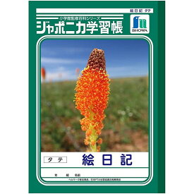 楽天市場 絵日記 ノートの通販