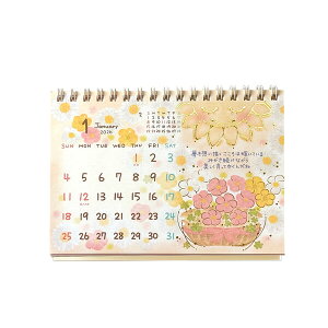 2026N  J_[ A6 MonV[Y WO z  fXN ₳ nbs[ t 킢 N[Ys CL95690 - 800~ȏ [֔