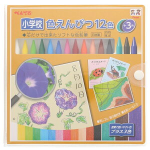 ぺんてる 小学校色えんぴつ 12色+3色 教科書準拠 授業 お絵描き 造形遊び 観察日記 GCG2-12P3 - 送料無料※800円以上 メール便発送