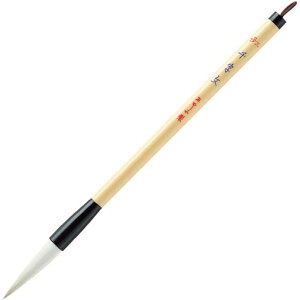  M M 玚 3 p PL-104 - 800~ȏ [֔