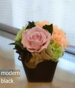 vU[uht[ Lbg  Mtg v[g ̓ lC  Ǌ| 蕨 hV̓  a  җ  ޗ j Vzj CeA uU[uh