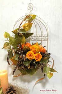 nEBAW i yzvU[uht[AW nEBǊ| nEB@ڂ vU[uht[ nEB@t[AW nE