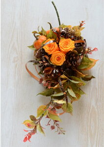 nEBǊ|AW i yzvU[uht[ AW nEBǊ| nEB ڂ vU[uht[ nEBAW [X nEB