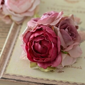 yIׂFz3փ[YANZT[ i  RT[W  RT[WlC  lC  I 񎟉 p[eB[  w   Ӊ \ LOi Mtg obN